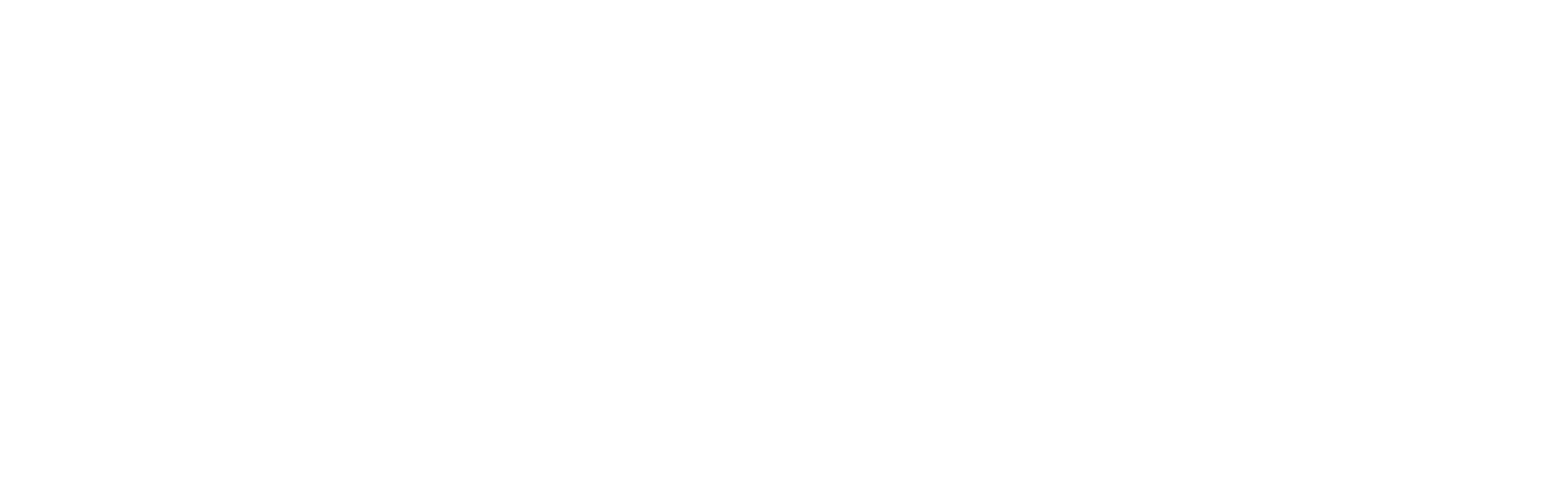 Коптюг В. А.